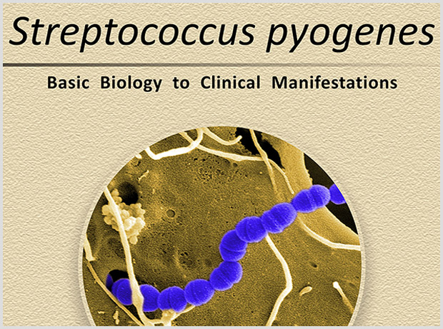 The association between Streptococcus pyogenes and tics/OCD