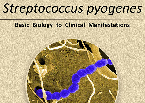 The association between streptococcus pyogenes and tics/OCD
